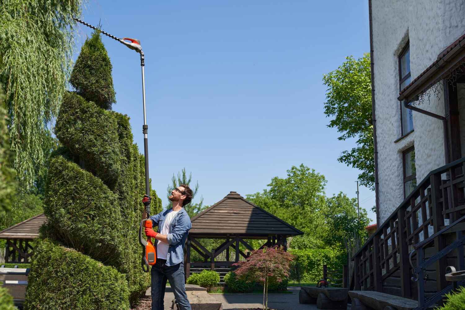 Professional Tree Service in Coopertown, TN